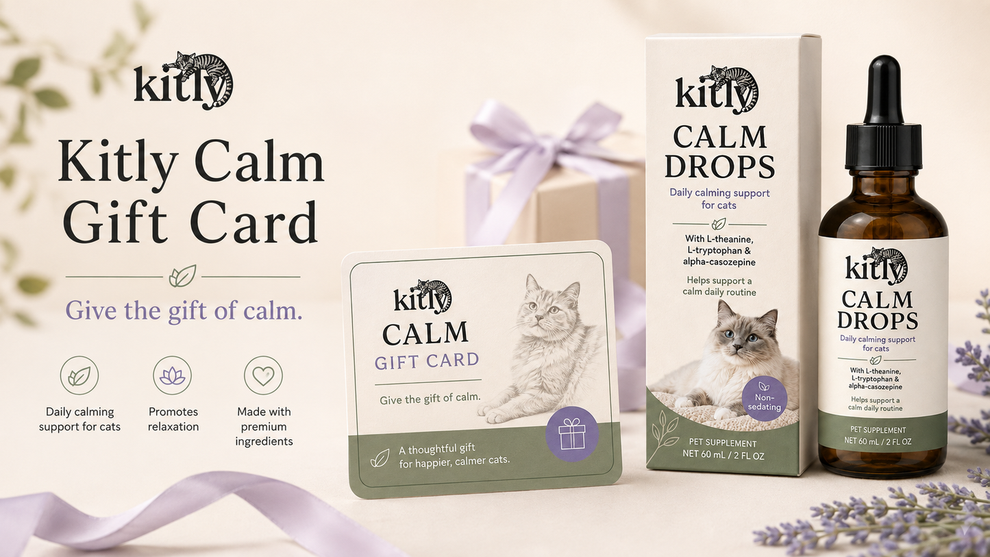 Kitly Gift Card
